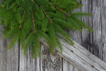 christmas tree fresh aromatic branches on weathered wooden background