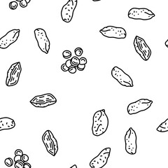 potato sweet food yam orange vector seamless pattern thin line illustration