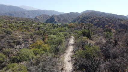 Fototapeta premium jcenturion.JPG