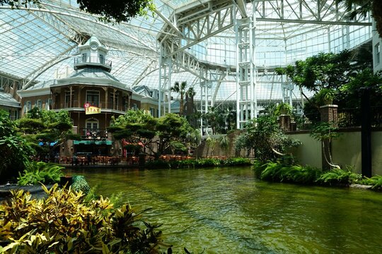 Nashville, Tennessee, U.S - June 26, 2022 - The buildings surrounded by tropical plants inside of Gaylord Opryland Resort and Convention Center
