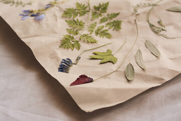 Sheet of paper with dried flowers and leaves on white fabric, closeup