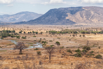 Africa, Tanzania, Ruaha National Park. View of the landscape in Ruaha National Park. - obrazy, fototapety, plakaty