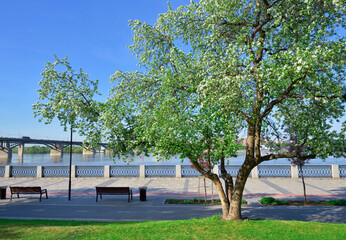 Mikhailovskaya embankment of the Ob River