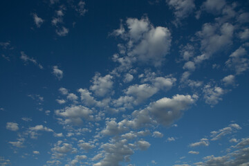 Blue sky with white puffy clouds