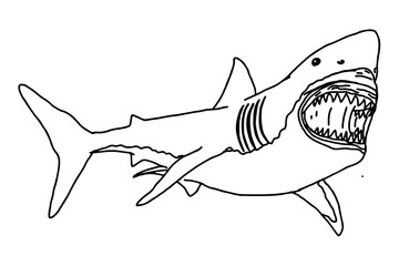 Scary Shark Line Art Vector