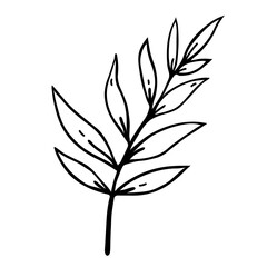 Tree branch vector icon. Black silhouette of a twig with leaves. Hand drawn illustration isolated on white. A wild forest plant, shrub sprig. Clipart for cards, posters, cosmetics, logo, web, print
