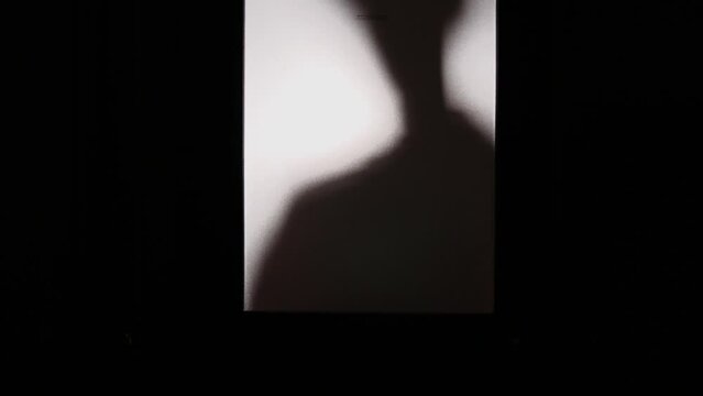shadow of man behind door glass