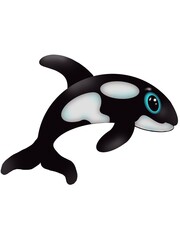 Black and white Killer Whale or Orca with blue ring around eye, jumping out of water