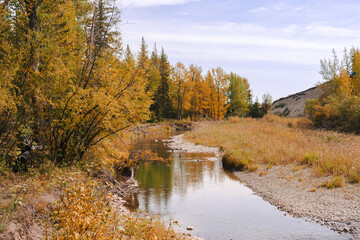 River running through an Autumnal forest