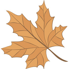 Autumn Fall Leaves Leaf  and Floral Flowers Clipart Illustration