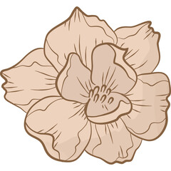 Autumn Fall Leaves Leaf  and Floral Flowers Clipart Illustration