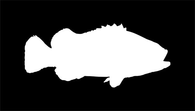recommend clip art: Groupers Fish Silhouette in Black Background for Icon, Symbol, Pictogram, Logo or Graphic Design Element. Vector Illustration