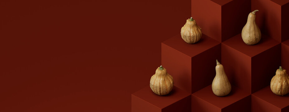 Contemporary Fall Background with Squashes on Deep Red Cubes.