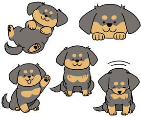 チワックスのセット