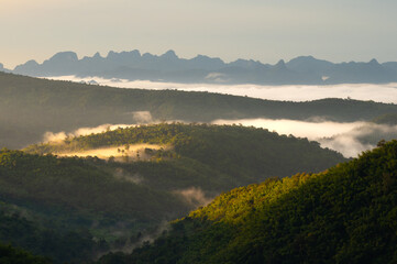 A picture of a beautiful mountain in the morning with fog and sunlight in Nam Nao District. Phetchabun Province, Thailand.