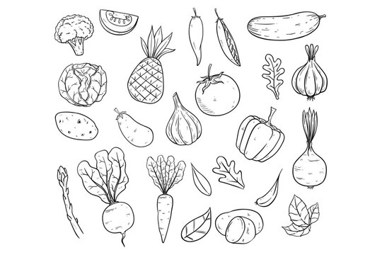 hand drawing vegetables and fruits collection on white background