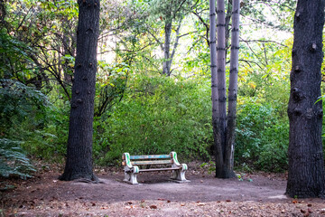 a lonely empty shop in a dense park