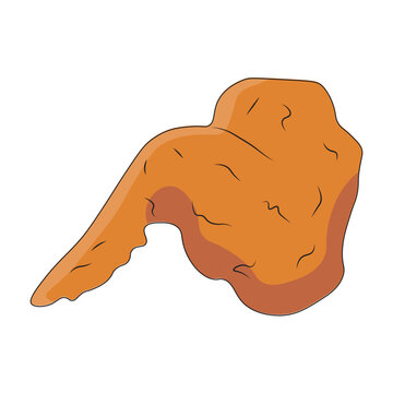 Chicken grilled and fried chicken vector illustration