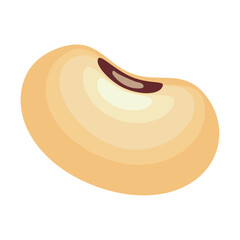 white bean organic product