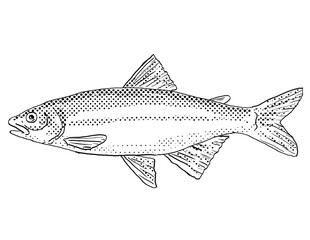 Cartoon style line drawing of a satinfin shiner or Cyprinella analostana a freshwater fish endemic to North America with halftone dots shading on isolated background in black and white.