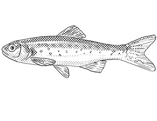 Cartoon style line drawing of a southern leatherside chub or Lepidomeda aliciae a freshwater fish endemic to North America with halftone dots shading on isolated background in black and white.