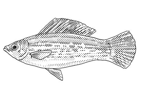 Cartoon style line drawing of a sailfin molly or Poecilia latipinna a freshwater fish endemic to North America with halftone dots shading on isolated background in black and white.