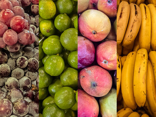 Brazilian fruits. Close up of Grape, Lemon, Mango and Banana. Vertical stripes.