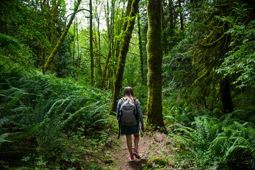 Naklejka na ściany i meble Solo Female Hiker walking through a lush wooded forest in the beautiful Pacific Northwest. Outdoor lifestyle photo