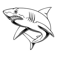 vector illustration Shark with prey hunting position black and white design