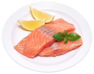 piece of salmon fillet on a ceramic plate