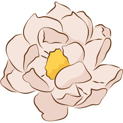 Flower PNG Clipart Illustration