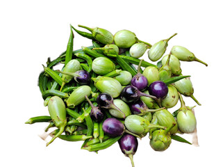 Fresh organic vegetables Brinjal and ladies finger on the supa