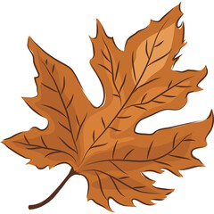 Obraz premium Yellow Autumn Fall Leaf PNG Clipart Illustration