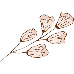 Pink Flowers Floral Element PNG Clipart Illustration