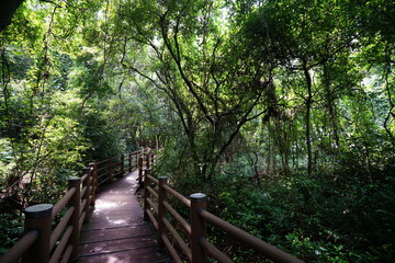refreshing walkway in the gleaming sunlight