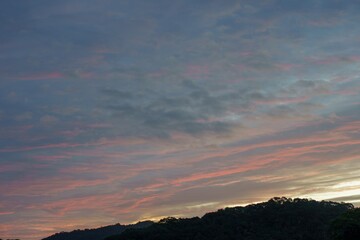 電線の蔭と空