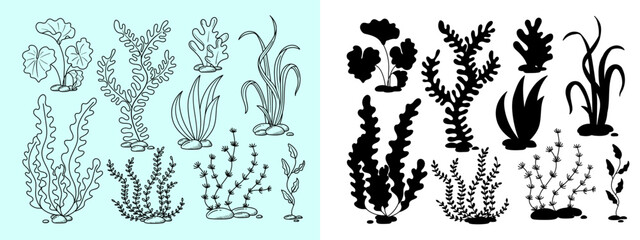 seaweed hand drawn in doodle style