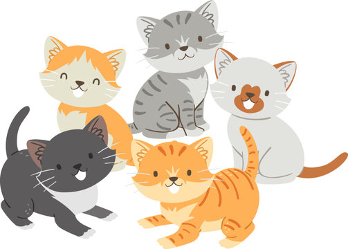 Cat Kittens Illustration