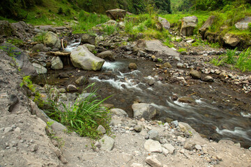 River stream with rocks and grass