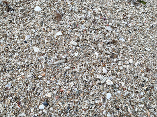 Coarse and rocky sand texture