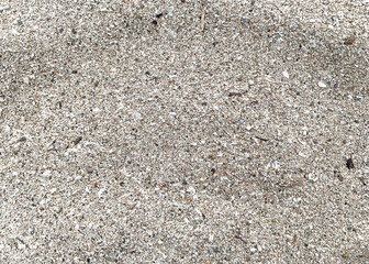 white sand background.