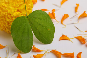 Happy Dussehra greeting card , green leaf.