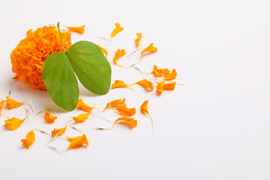 Happy Dussehra greeting card , green leaf and marigold flower.