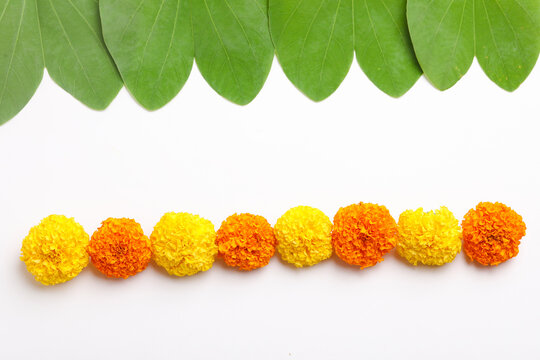 Indian Festival Dussehra, showing golden leaf (Piliostigma racemosum) and marigold flowers on white background.
