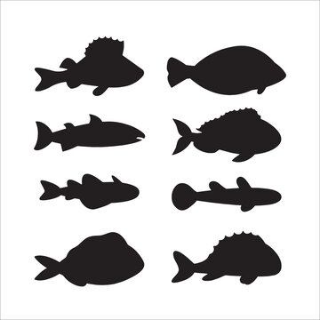 Set of fish characters and silhouette on white background