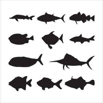 Set of fish characters and silhouette on white background