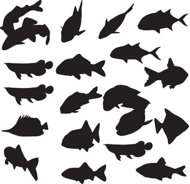 black and white silhouettes set of marine animals
