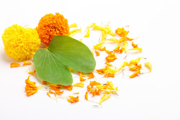 Happy Dussehra greeting card , green leaf and marigold flower.