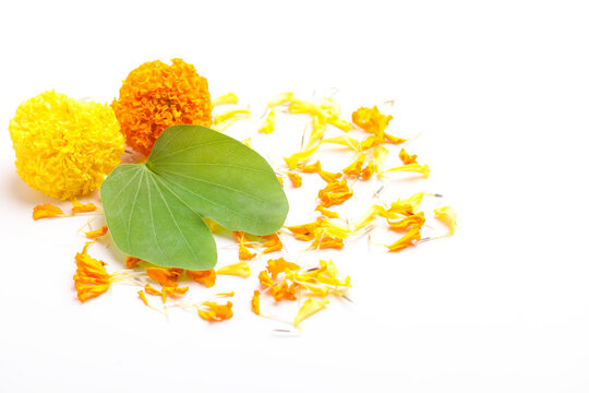 Happy Dussehra greeting card , green leaf and marigold flower.