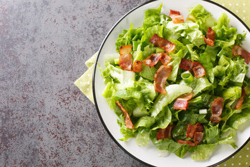 American Wilted Lettuce Salad With strips Bacon closeup in the plate on the table. Horizontal top view from above